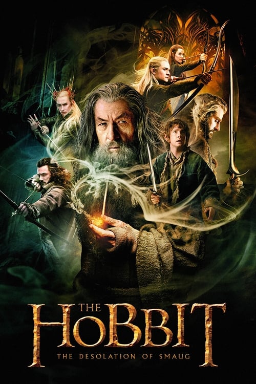 The Hobbit 3: The Desolation of Smaug 1 Poster