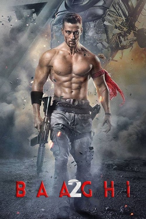 Baaghi 2 Poster