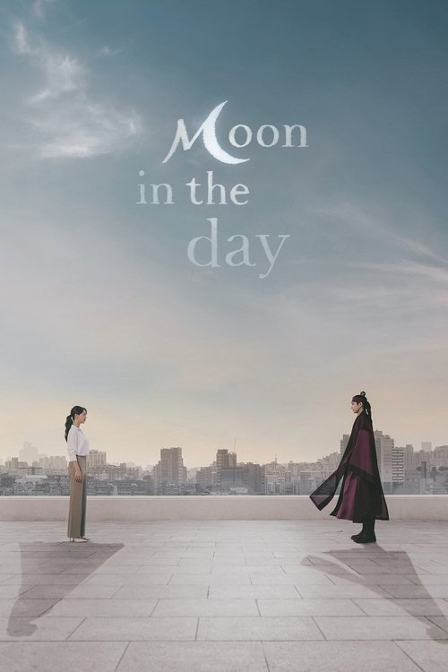 Moon in the Day Poster
