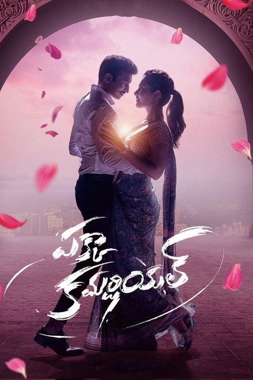 Pakka Commercial Part B Poster